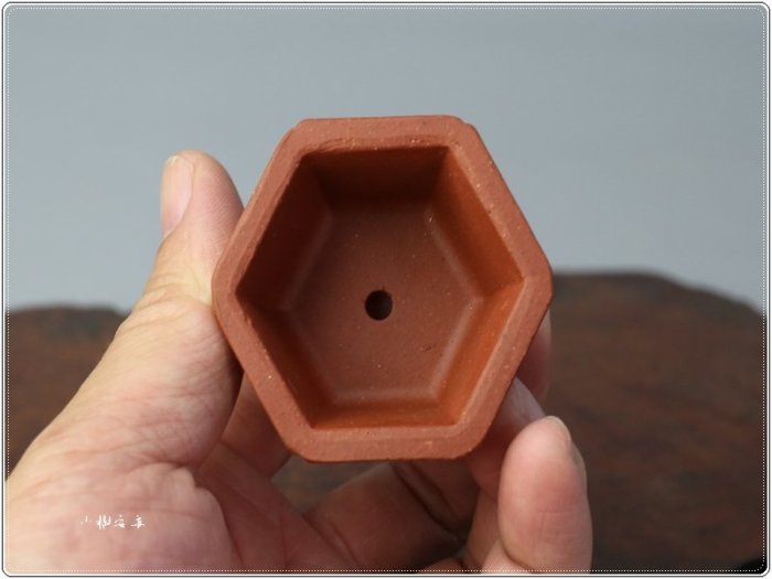 小樹安每】中國盆缽- [中國宜興] 朱泥六角鉢5cm 迷你盆| Yahoo拍賣