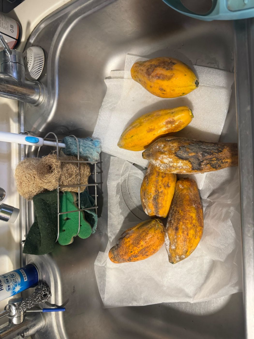 源源's review image