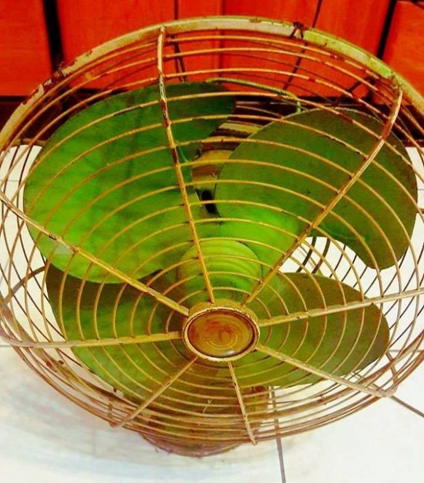 大寶柑仔店 老 大同 電扇 平頭 電影 營業 展覽 居家生活 場景 場地 布置 咖啡 文創 美食 農場 露營