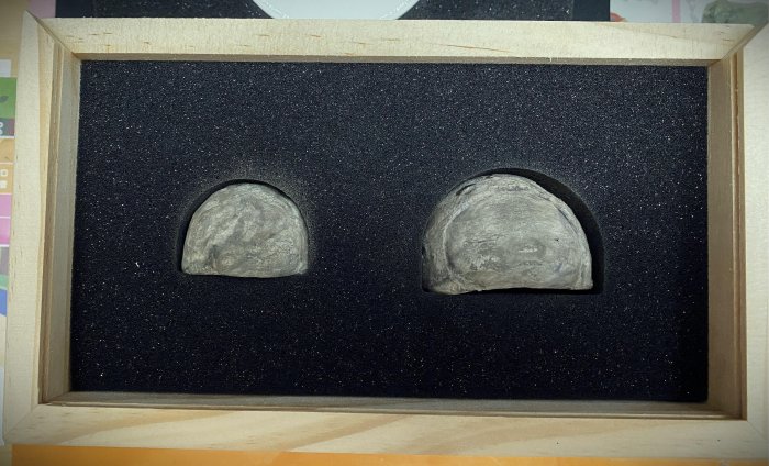 中村萌-優惠推薦2026年1月| Yahoo拍賣