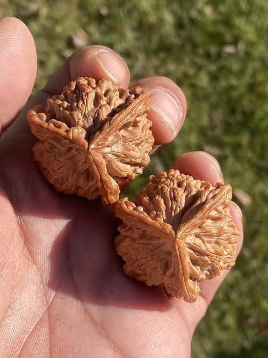 文玩核桃正奔的價格推薦- 2026年2月| 比價比個夠BigGo