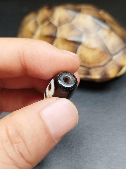 嚴選藏傳閃電五眼天珠，瑪瑙為材，皮殼風化細膩油潤，附鎖骨鏈發貨
