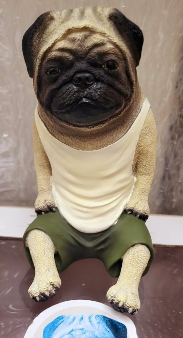 朝隈俊男留守的價格推薦- 2025年12月| 比價比個夠BigGo