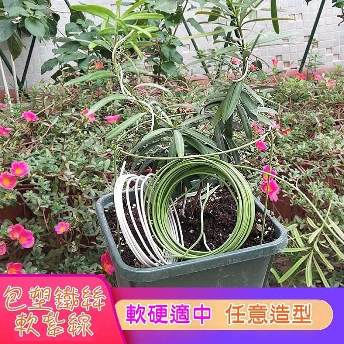 【珍愛頌】N402 包塑鐵絲 10米/捆 爬藤造型綠鐵線 軟紮線 爬藤架 爬藤花架 園藝紮帶 包塑紮線 軟札線 多肉花架