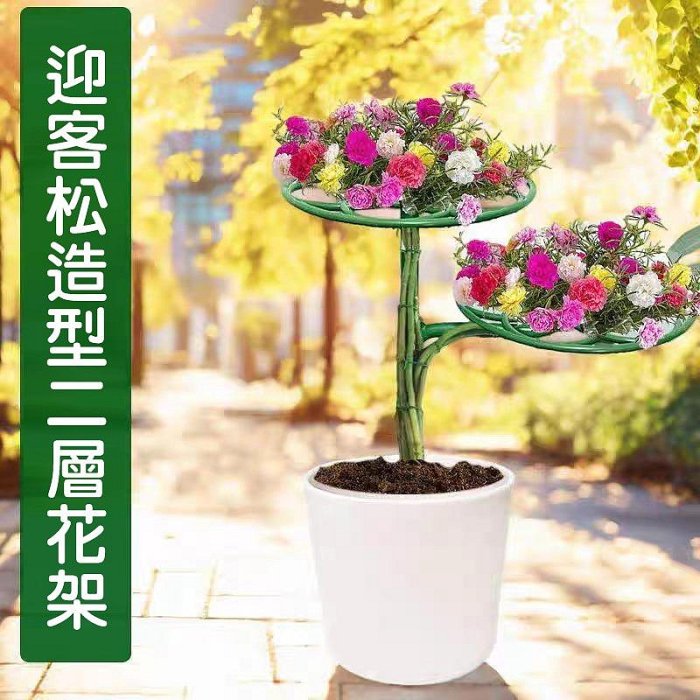 【珍愛頌】N686 二層 三層 迎客松造型 植物支撐架 花卉支撐架 太陽花支架 太陽花架 爬藤架 龜背芋 螃蟹蘭 黃金葛