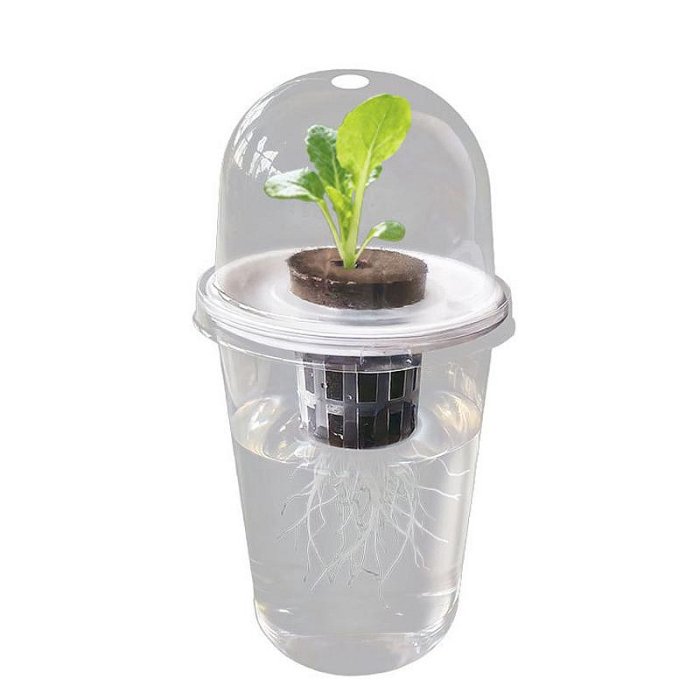 【珍愛頌】N693 育苗杯五件套 水培杯 水培種子花盆 水培花盆 水耕瓶 育苗盆 塑膠花盆 水培瓶 水養植物瓶 水耕盆栽