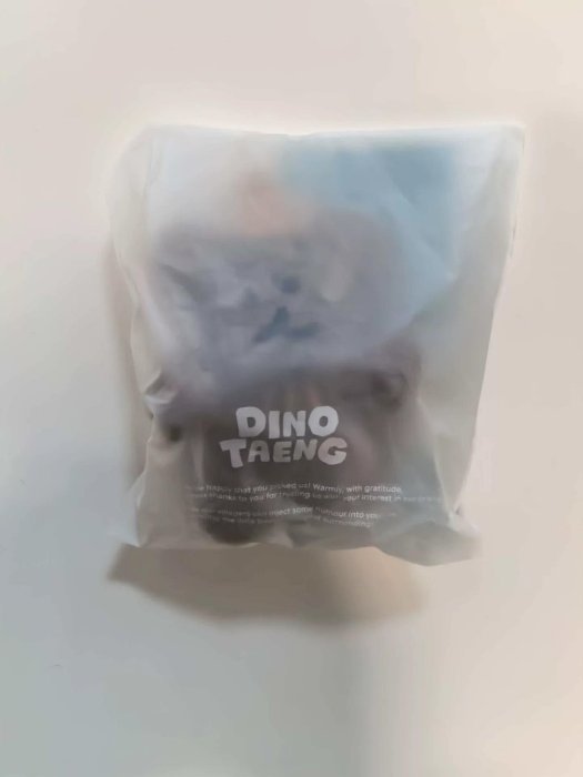 dinotaeng全棕色柿子熊bobo實用品