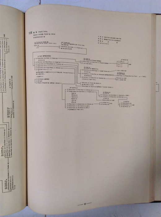 昀嫣二手書臺灣高砂族系統所屬の研究第一冊本篇+第二冊資料篇共