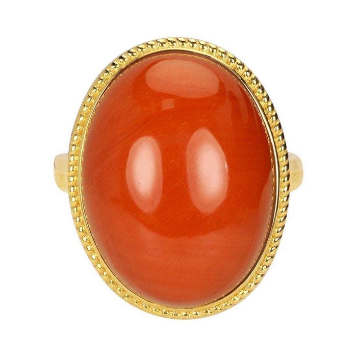 本珊瑚 珊瑚原木 宝石珊瑚 □天然本珊瑚11.195ct□21.13×12.19