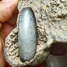 早期西藏天然龍鱗紋結晶老天珠{虛空藏菩薩種子字} 大掛墜MO-35《紀老師