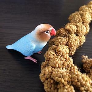 牡丹鸚鵡模型的價格推薦- 2025年9月| 比價比個夠BigGo