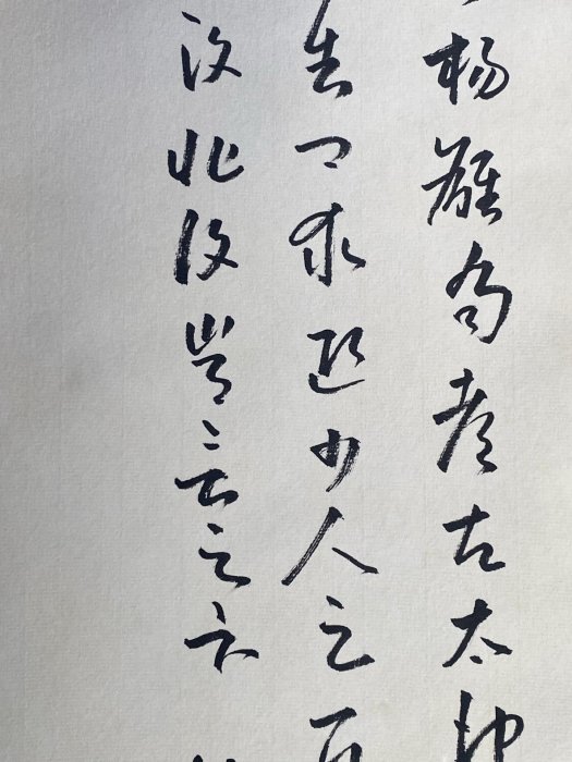TD003 畫家：江寒汀四尺中堂畫花鳥畫手繪畫畫工精細。材質：宣紙2 加