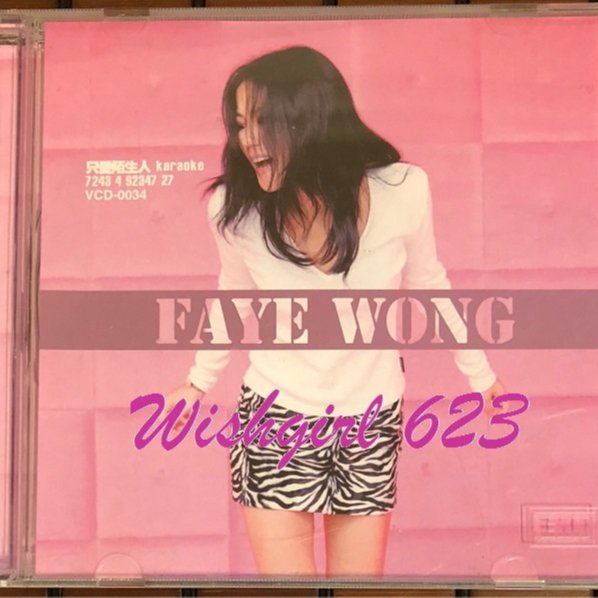 Faye Wong 只愛陌生人 Karaoke DVD a6193a06-78f9-45f3-9884-
