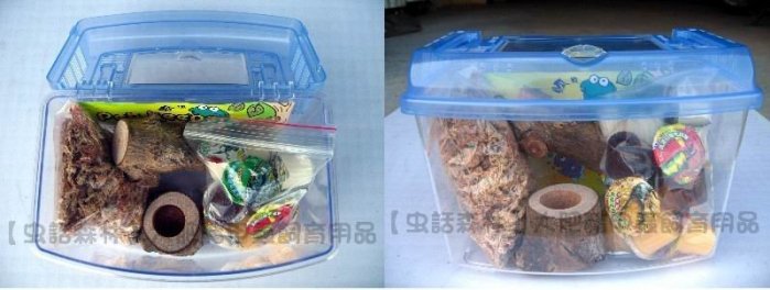 【虫話森林】套裝-兜蟲.金龜.獨角仙幼蟲成蟲繁殖飼育組M-B(入門級-巨兜土)