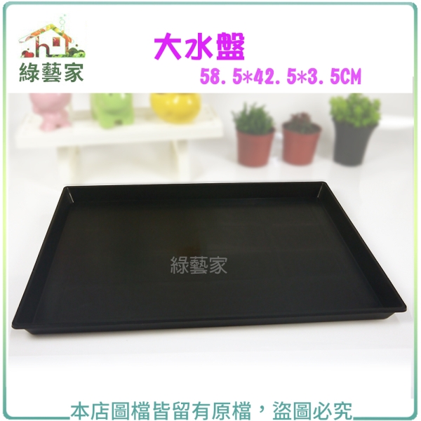 綠藝家】大水盤58.5*42.5*3.5CM(可適用大部分尺寸端盤.穴盤) | 盆栽