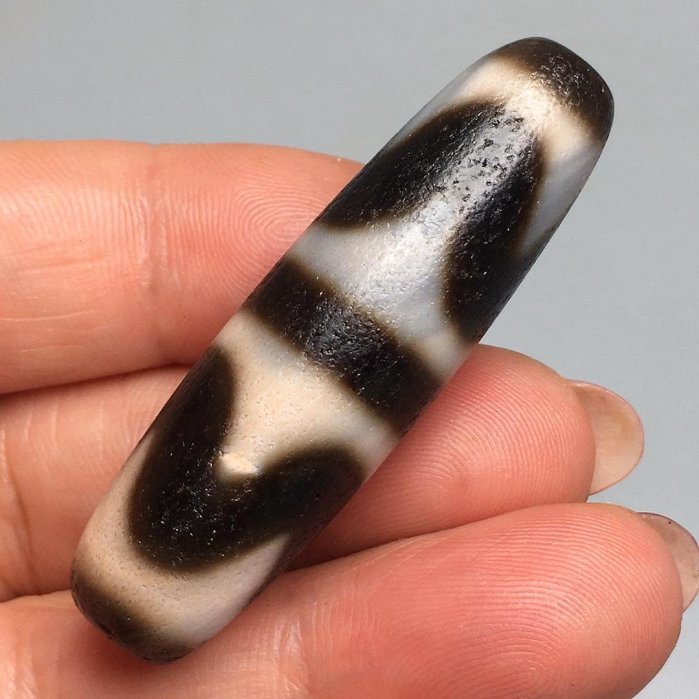 藏傳極品雙虎牙高油包漿馬蹄紋老天珠，尺寸51.8×14.6左右，材質：瑪瑙