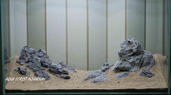 ◎ 水族之森◎ 日本ADA 龍王石嚴選ON SALE | Yahoo拍賣