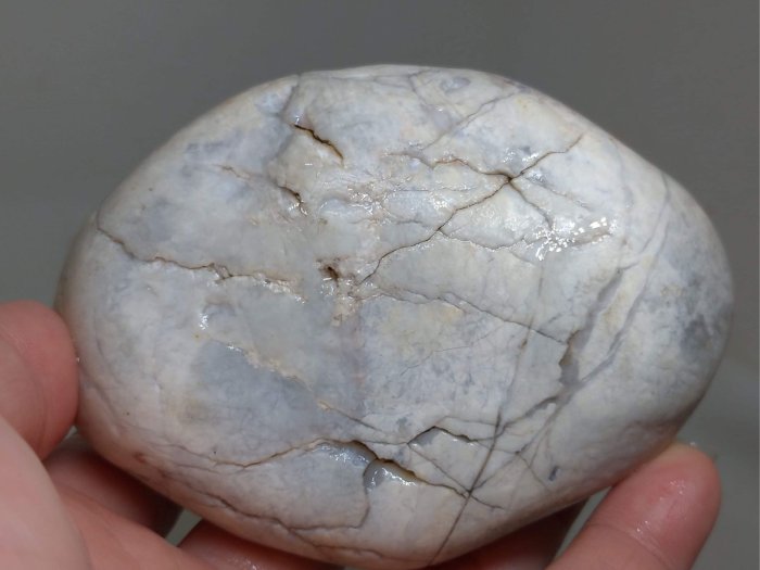 骨董品 木化石 秀逸標本！約2億4800万年前の多彩色木化石、珪化木（ケイカボク） 化石