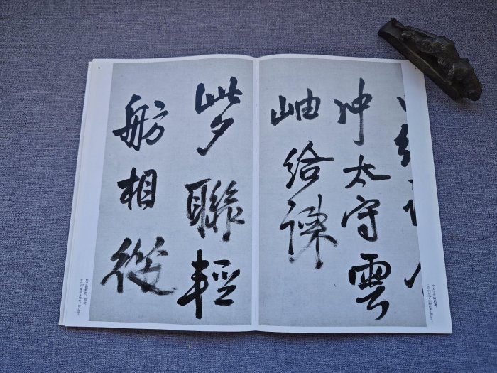 嚴選日本原版二玄社字帖《王鐸集》，專業推薦中國法書學習之選，附77頁