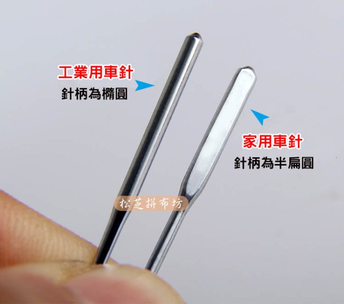 真作/十近/五字一行書/布袋屋掛軸HJ-751 真作/十近/五字一行書/布袋屋掛軸HJ-751