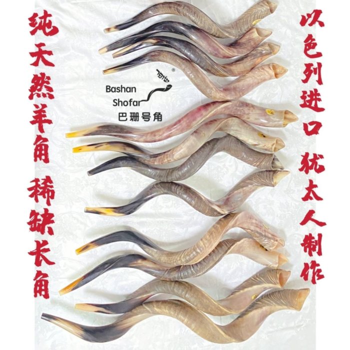 67f47769-7cf2-4ea7-9ab8-