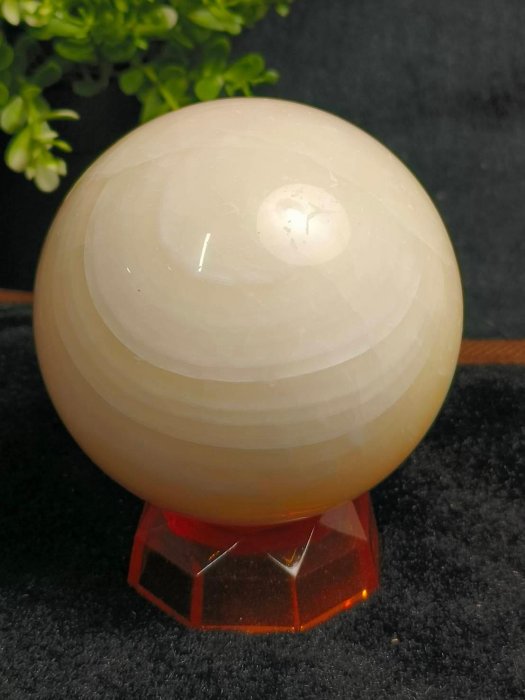 999玉石坊]*真品大顆天然金絲硨磲球(858公克)*1元無檔.直購4688元