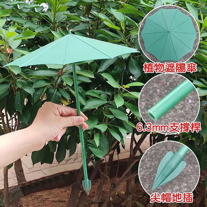 【珍愛頌】N720 植物保護傘 裝飾傘 遮陽傘 防曬傘 保護罩 植物遮雨罩 植物防曬罩 植物遮陽傘 植物雨傘 植物防護傘