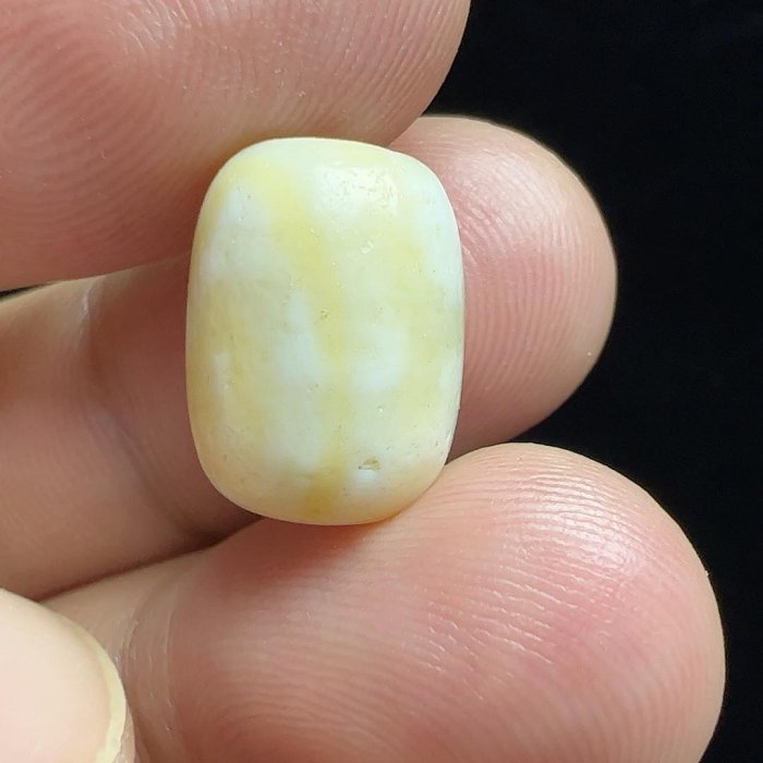 嚴選天然白豪天珠，風化石珠尺寸14.6×11mm 高49mm 採自西藏磁石背刻白
