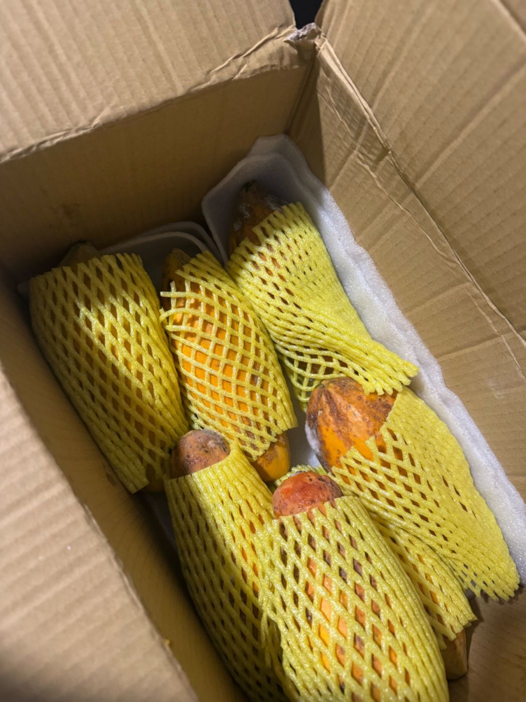 源源's review image