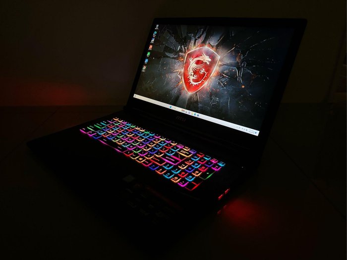 MSI微星電競筆電i7-8750H,GTX1060-6G,16G Ram,256G SSD+1TB