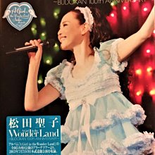松田聖子~ SEIKO MATSUDA CONCERT 2013 “A Girl in the Wonder