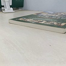 書寶二手書T1／藝術_SDV】看示範．學水彩-水彩畫法關鍵必學_簡忠威