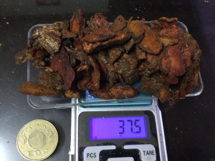 野生牛樟椴木牛樟芝.最小版 一兩4000.(37.5公克)現貨供應