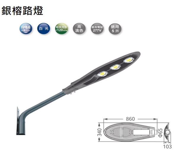 【燈王的店】舞光 LED 150W 銀榕路燈.庭園燈.LED戶外燈具 OD-10076R3