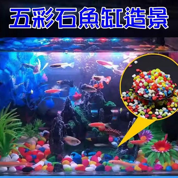 【珍愛頌】N820 五彩石 彩色石頭 好運石 500g 彩石 油彩石 魚缸底砂 水族鋪缸 多肉 盆栽鋪面 園藝造景