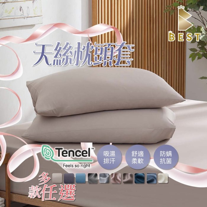 【BEST寢飾】頂級萊賽爾纖維枕頭套 美式枕套 素色枕頭套 1入