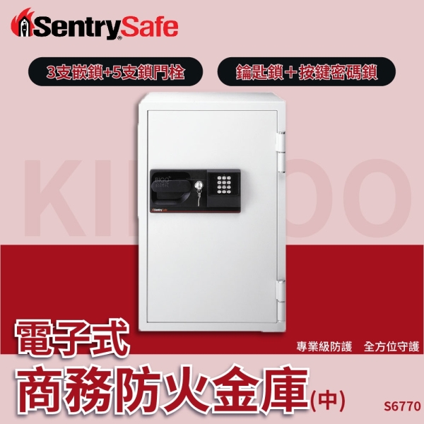 SentrySafe 電子式商務防火金庫（中） S6770 防盜 密碼保險箱 電子鎖 保險櫃 密碼櫃
