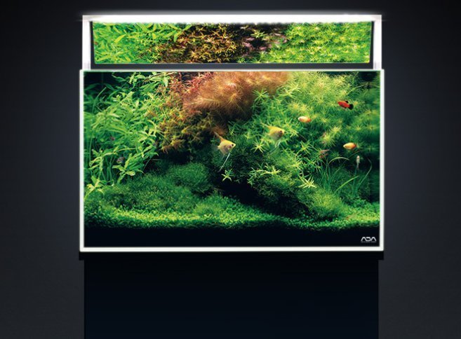 ◎ 水族之森◎日本ADA AQUASKY 602 G 水之天空LED 燈具（含反射板） 新