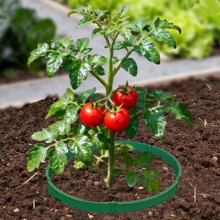 【珍愛頌】N274 可拼接 擋土坂 植物保護罩 植物擋土坂 保護蔬菜 綠植隔離帶 防蟲害 鎖住水分 植物防蟲罩 植物罩