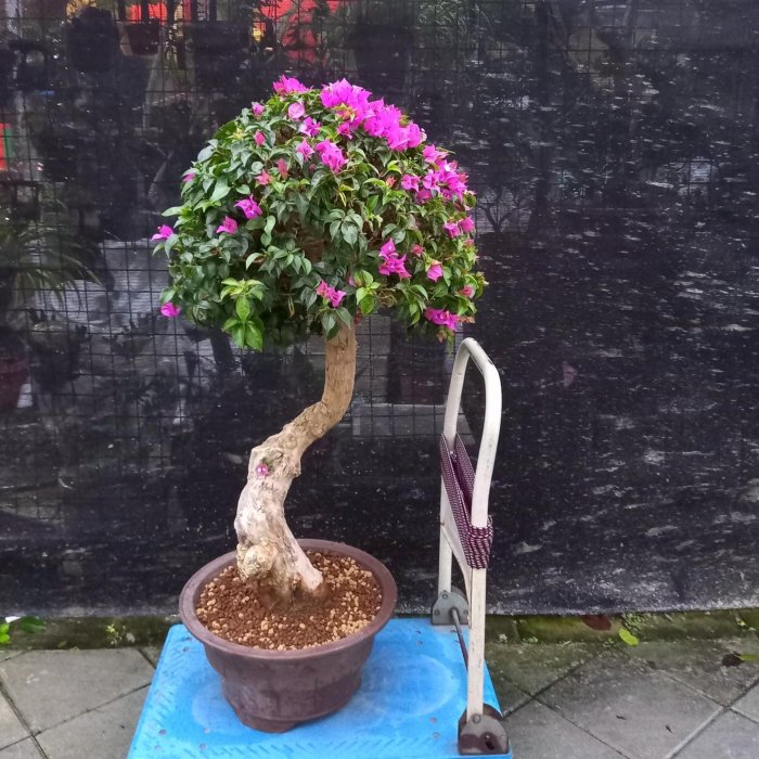 54effd73-3e94-4819-aaf1-