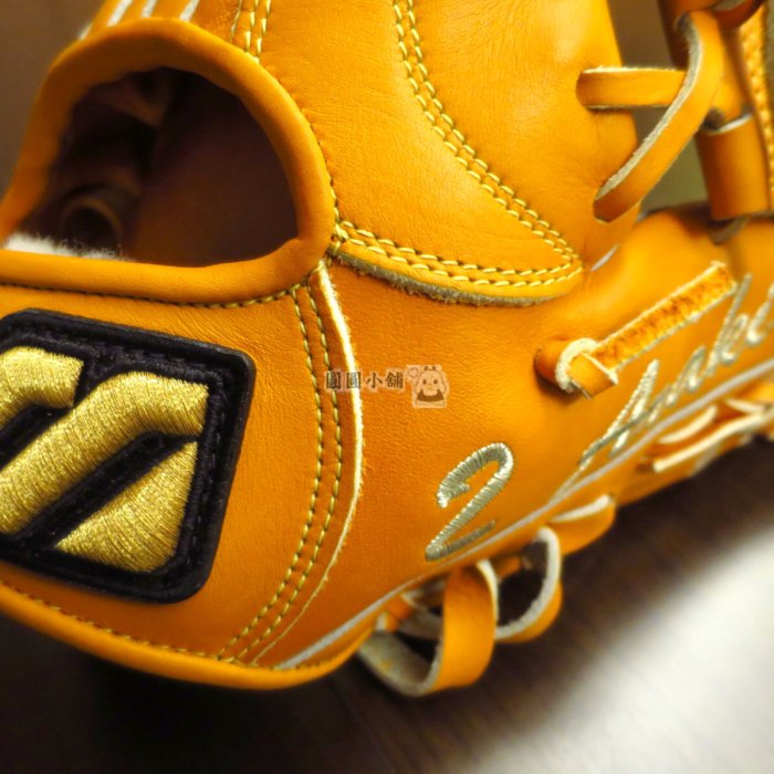 圓圓小舖}全新日本製硬式MIZUNO PRO for p for professional大M金標內