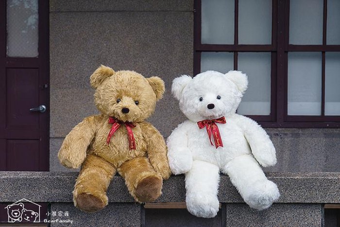 �զ⥿�P�j��100cm��u���}��Made in Taiwan�i¸�r*�K�O�N�g�d��*�x�W��@~*�p���a��*~