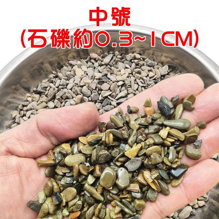 【珍愛頌】N822 溪流石 500g 川藏砂 魚缸造景 水族裝飾 魚缸底砂 水族鋪缸 天然原生石塊 水族箱 石景 溪石