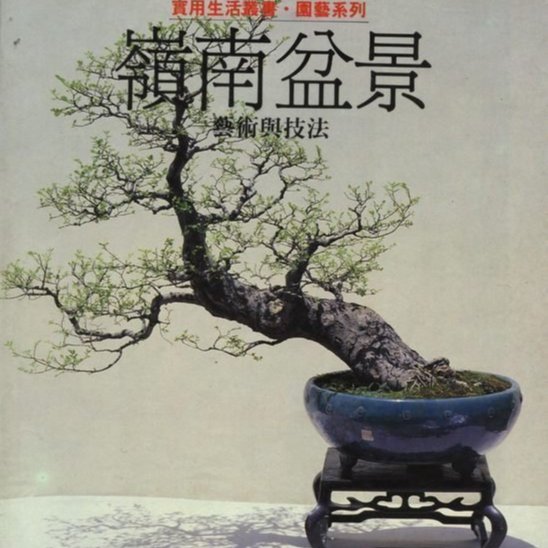 中国語　嶺南盆景　藝術與技法　園藝系列⑪ 寶貝の家~~嶺南盆景藝術與技法~ | Yahoo拍賣