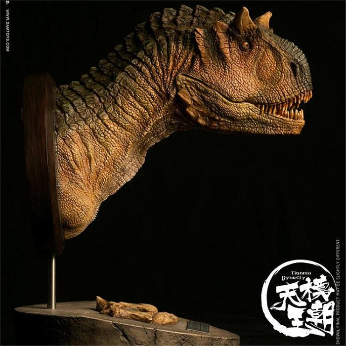 DAMTOYS MUS006 博物館系列 食肉牛龍 雌性 頭部 DAM 雕像