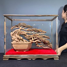 壓箱寶 精選 台灣牛樟木【開運發財樹】原木香 香噴噴 迎客松 招財樹 沙士香 純手工 藝術擺件 C97