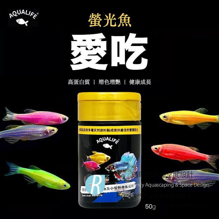 螢光鬥魚的價格推薦 - 2026年5月 | 比價比個夠BigGo