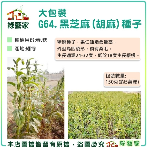【綠藝家】【00G64】大包裝.黑芝麻(胡麻)種子150克(蔬菜種子)