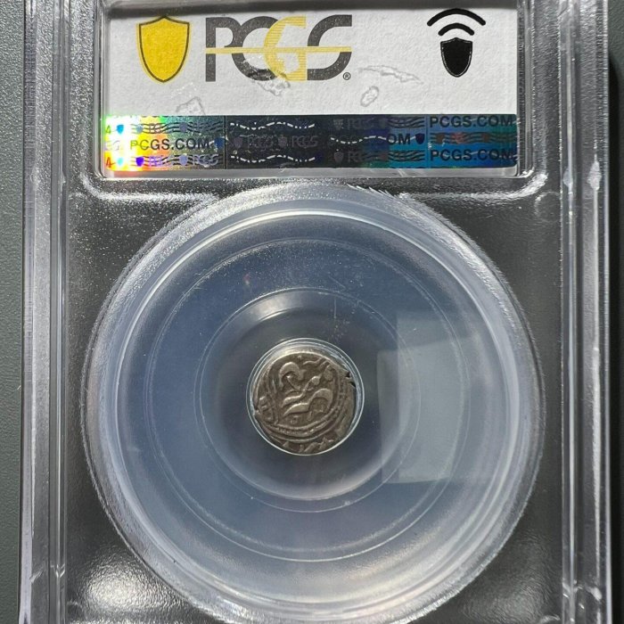 8870 PCGS評級幣XF45分新疆五分天罡庫車局1877年回歷1294年老銀元銀幣
