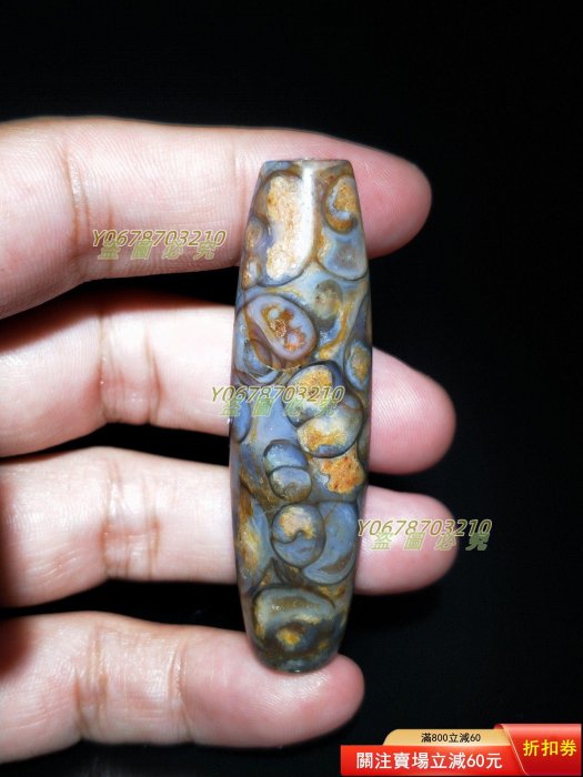 261/精品法螺天珠勒子尺寸64*17.5mm 32g 天然海螺化石，白螺紋清晰漂